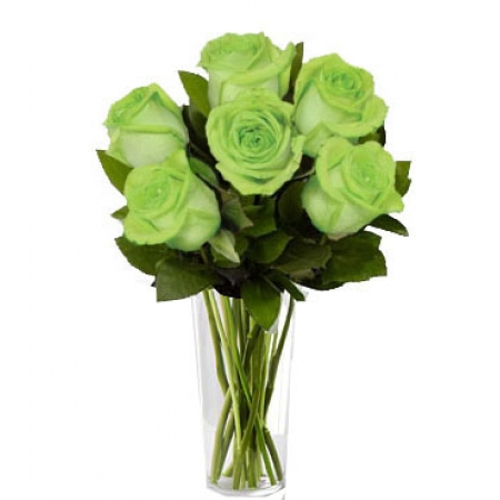 Green Royal - 12 Stems In Vase